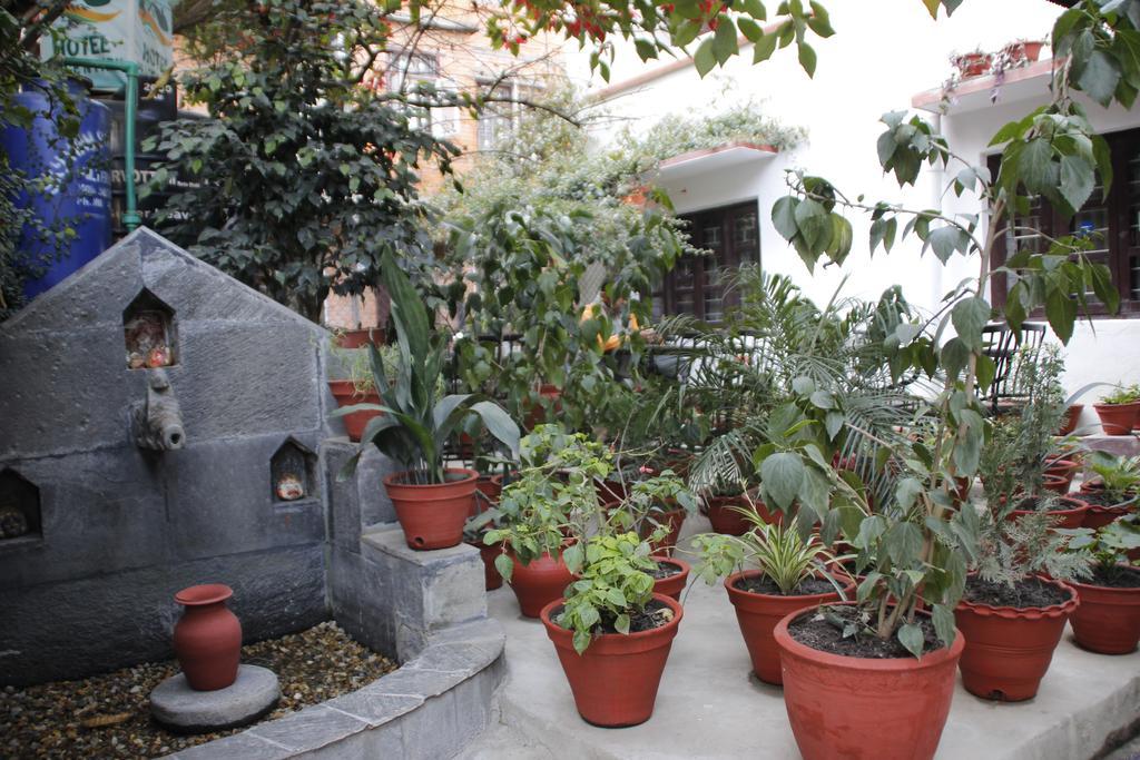 كاتماندو Hotel Peace N Park المظهر الخارجي الصورة